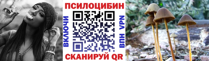 Псилоцибиновые грибы Psilocybe  Шлиссельбург 
